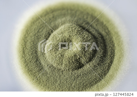 Colony of mold fungus cultivated from indoor air 127445824
