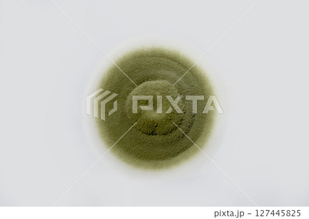Colony of mold fungus cultivated from indoor air 127445825
