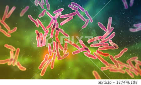 Niallia tiangongensis bacteria, 3D illustration of spaceborne bacterium found aboard China's Tiangong station, forming spores and biofilms in microgravity Niallia tiangongensis bacteria, 3D illustration of spaceborne bacterium found aboard China's Tiangong station, forming spores and biofilms in microgravity 127446108