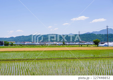 田園を走っていく特急あずさ 田園を走っていく特急あずさ 127446652