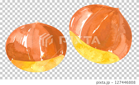 Watercolor illustration of chestnuts (autumn flavors, seasonal materials) 127446808