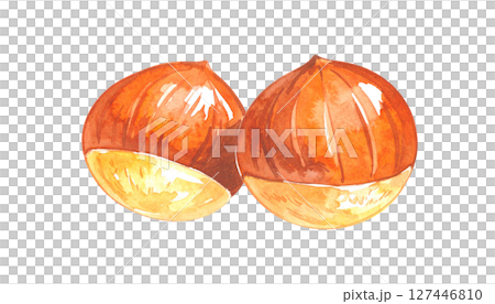 栗子的水彩插圖（秋天的味道、當季的材質） 127446810