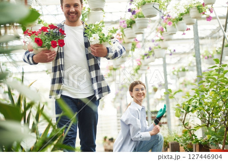 Smiling, positive people. Florist man and woman are working together in bright greenhouse Smiling, positive people. Florist man and woman are working together in bright greenhouse 127446904