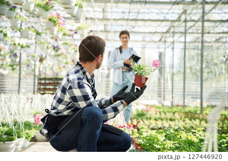 Guy is sitting with pot. Florist man and woman are working together in bright greenhouse Guy is sitting with pot. Florist man and woman are working together in bright greenhouse 127446920