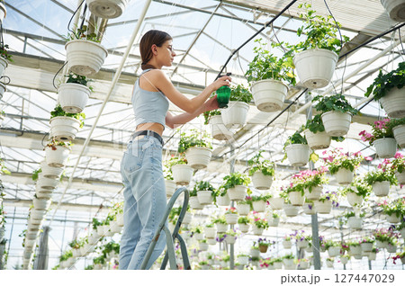 Standing on the ladder, watering the plants. Beautiful florist woman working in garden center 127447029