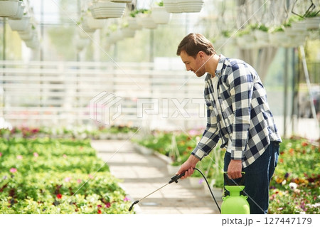 Watering the plants. Florist man working in garden center. Successful employee is in a bright greenhouse 127447179