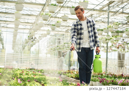 Florist man working in garden center. Successful employee is in a bright greenhouse Florist man working in garden center. Successful employee is in a bright greenhouse 127447184