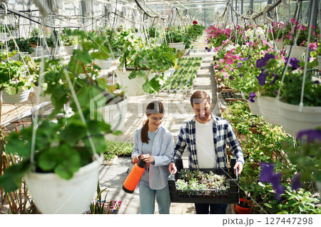 Orange colored watering device and box with plants. Florist man and woman are working together in bright greenhouse 127447298