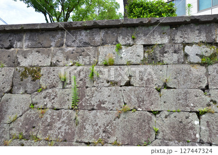 西南戦争の銃弾跡　鹿児島市　私学校跡 127447324