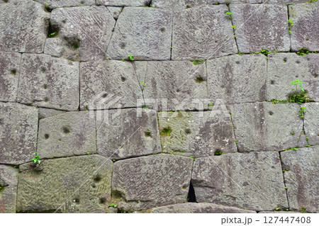 西南戦争の銃弾跡　鹿児島城 127447408