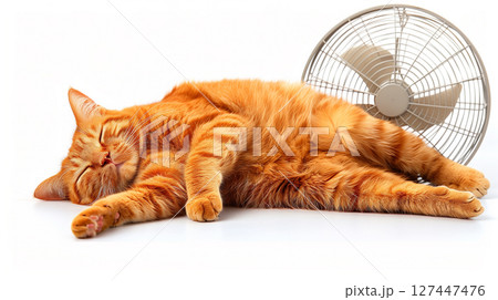 cat laying on the back near floor fan, heat situation, isolated in white background, no people --chaos 50 --ar 16:9 --stylize 250 Job ID: e1f800e6-87de-49ec-8985-859f204cfeb9 127447476