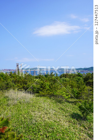 白鳥湾展望台から見る白鳥大橋・室蘭市 白鳥湾展望台から見る白鳥大橋・室蘭市 127447513