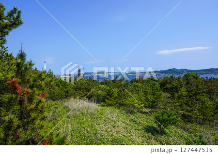 白鳥湾展望台から見る白鳥大橋・室蘭市 127447515