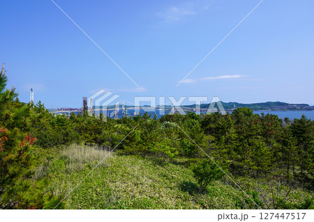 白鳥湾展望台から見る白鳥大橋・室蘭市 127447517