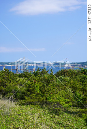 白鳥湾展望台から見る白鳥大橋・室蘭市 127447520