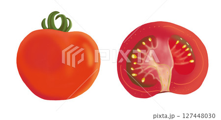 中玉のトマトと半分に切ったトマトのイラスト　夏野菜　クリップアート　挿絵　png　背景透過 127448030