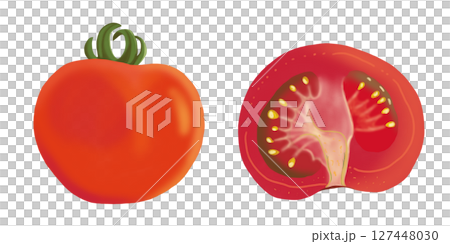 中玉のトマトと半分に切ったトマトのイラスト　夏野菜　クリップアート　挿絵　png　背景透過 127448030
