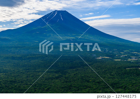 夏空と新緑と富士山の絶景(竜ヶ岳展望) 夏空と新緑と富士山の絶景(竜ヶ岳展望) 127448175