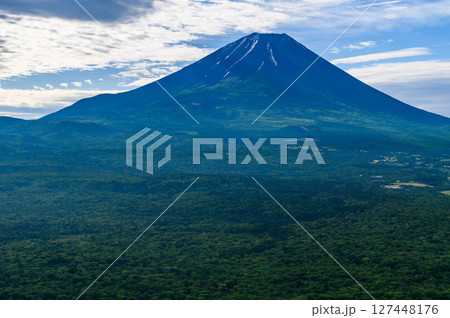 夏空と新緑と富士山の絶景(竜ヶ岳展望) 夏空と新緑と富士山の絶景(竜ヶ岳展望) 127448176