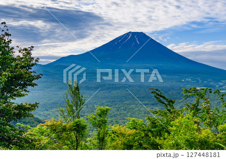 夏空と新緑と富士山の絶景（竜ヶ岳展望） 127448181