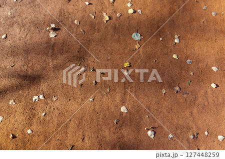 a simple path in the park made of red sand and foliage in the autumn season, fallen on the path in the park yellow foliage of trees during leaf fall 127448259