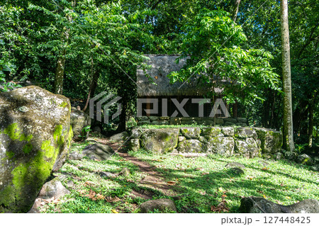 Thatched-roof building at Kamuihei archaeological site, Nuku Hiva, Marquesas Islands. French Polynesia 127448425