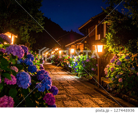 雨降る夜の紫陽花 127448936