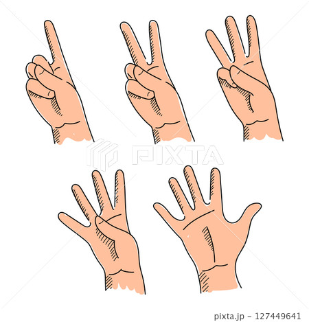 Counting with fingers from one to five 127449641