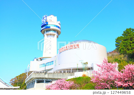 兵庫県明石市、明石市立天文科学館と河津桜の風景 兵庫県明石市、明石市立天文科学館と河津桜の風景 127449658
