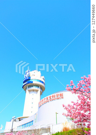 兵庫県明石市、明石市立天文科学館と河津桜の風景 兵庫県明石市、明石市立天文科学館と河津桜の風景 127449660
