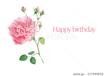 水彩絵の具で描いたピンク色の薔薇の花イラストレーションの誕生日カード 水彩絵の具で描いたピンク色の薔薇の花イラストレーションの誕生日カード 127449950