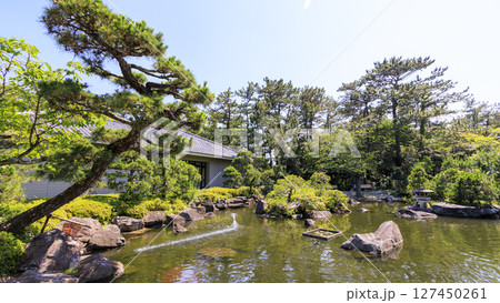 葉山しおさい公園の梅雨 127450261
