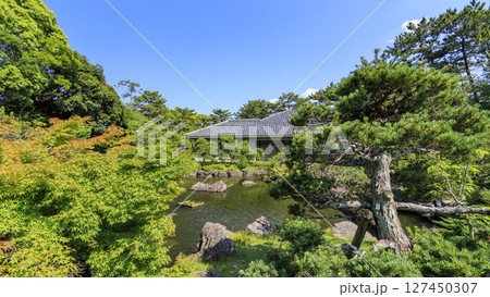 葉山しおさい公園の梅雨 127450307