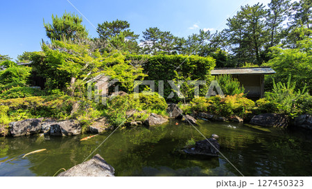 葉山しおさい公園の梅雨 葉山しおさい公園の梅雨 127450323
