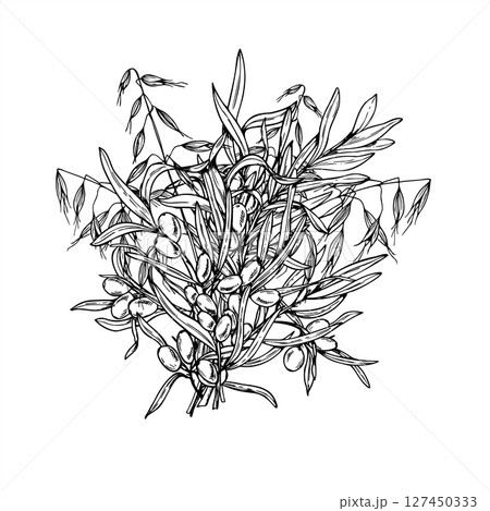 Monochrome vector bouquet of sea buckthorn and wild oat branches. Juicy autumn berries with leaves painted by black inks. For beauty branding, organic cosmetic packaging, herbal skincare design. 127450333