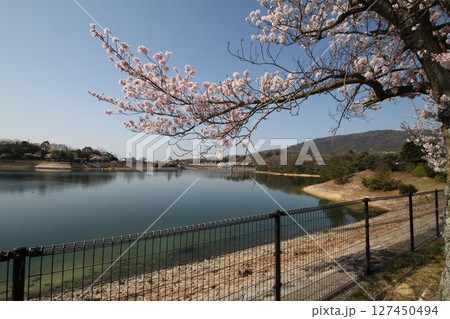 桜のある風景 127450494