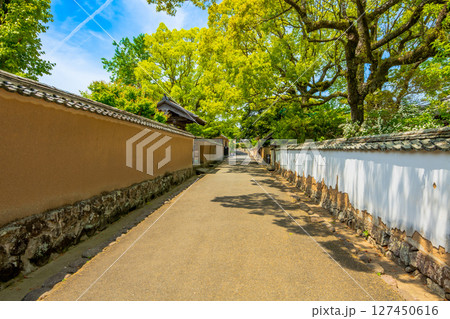 大分県 杵築の町並み 大分県 杵築の町並み 127450616