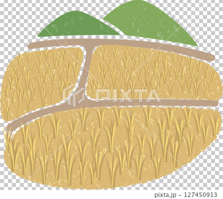 Scenery of a rice field before harvesting (autumn, farmer, combine harvester) 127450913