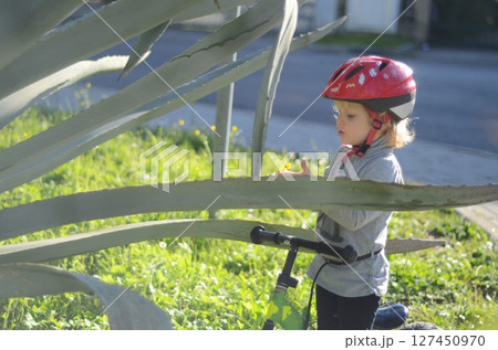 Child Observes Flower Behind Agave on Bike Child Observes Flower Behind Agave on Bike 127450970