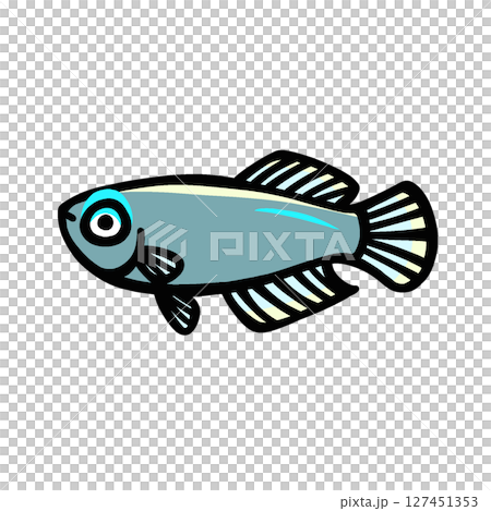 かわいいランプアイのイラスト 127451353