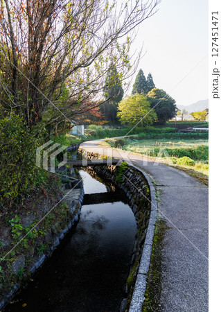 春の田園風景(阿蘇郡南阿蘇村) 春の田園風景(阿蘇郡南阿蘇村) 127451471