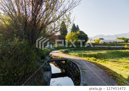 春の田園風景（阿蘇郡南阿蘇村） 127451472