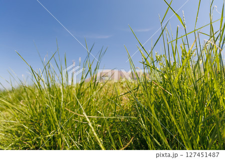 春の田園風景（阿蘇郡南阿蘇村） 127451487