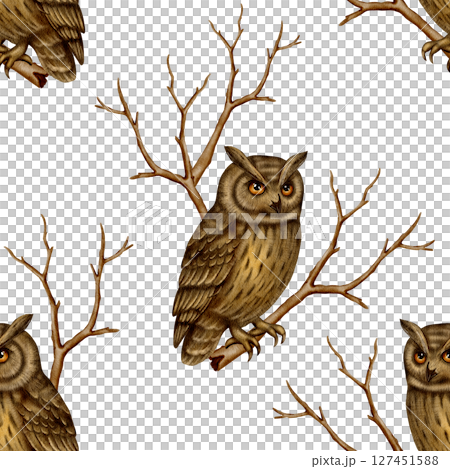 Seamless pattern with brown owls on branches Seamless pattern with brown owls on branches 127451588
