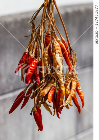 天日干しの唐辛子02 天日干しの唐辛子02 127451877