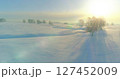 Aerial view of cold winter landscape arctic field, trees covered with frost snow, ice river and sun rays over horizon. Extreme low temperature weather. 127452009