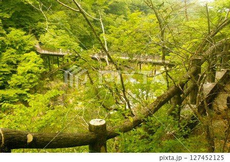 龍王峡 龍王峡 127452125