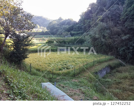 里山に広がる田園風景 127452252
