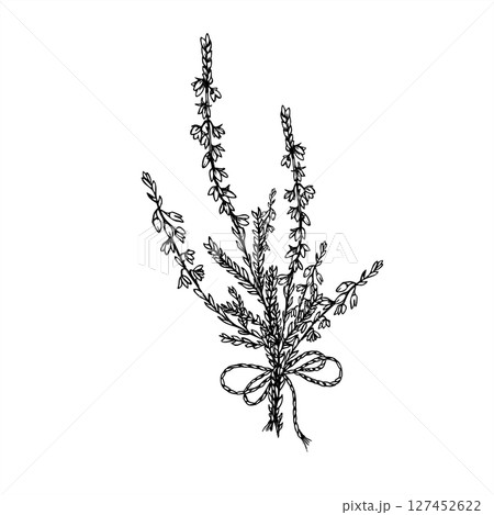 Monochrome vector bouquet of heather branches with decorative bow. Nordic blooming plant etching drawing for wedding invitation, rustic label, herbal product packaging, and vintage style decor 127452622