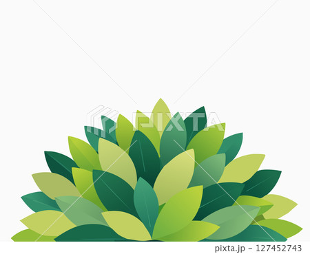 Minimal bush plant with various green leaves arranged in a neat round shape, clean white backdrop, modern flat look, room for text above, fresh spring nature vibe. 127452743